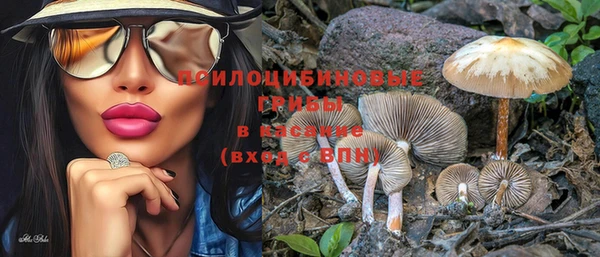 прущая мука Алзамай