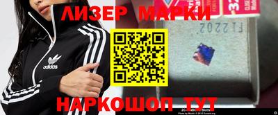 скорость Бердск